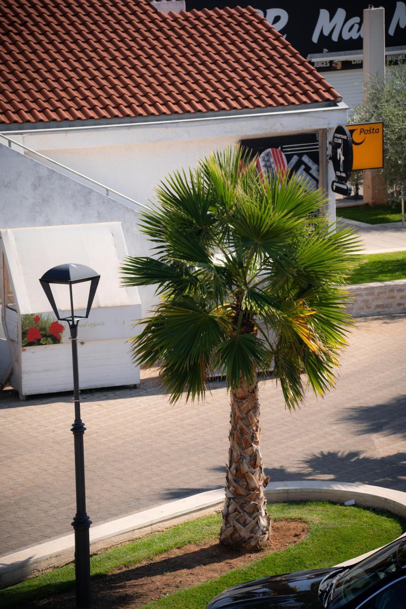 Apartments Centar Vodice Exteriör bild