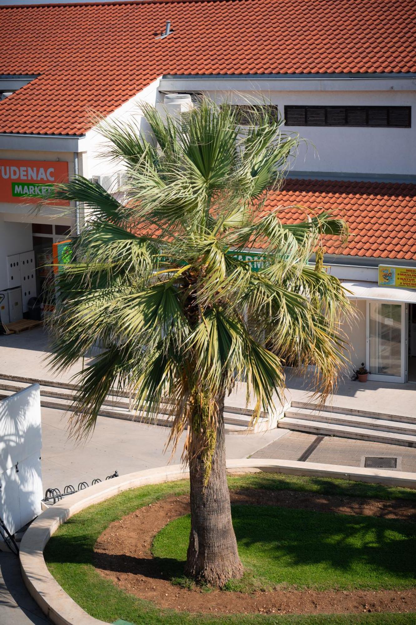 Apartments Centar Vodice Exteriör bild