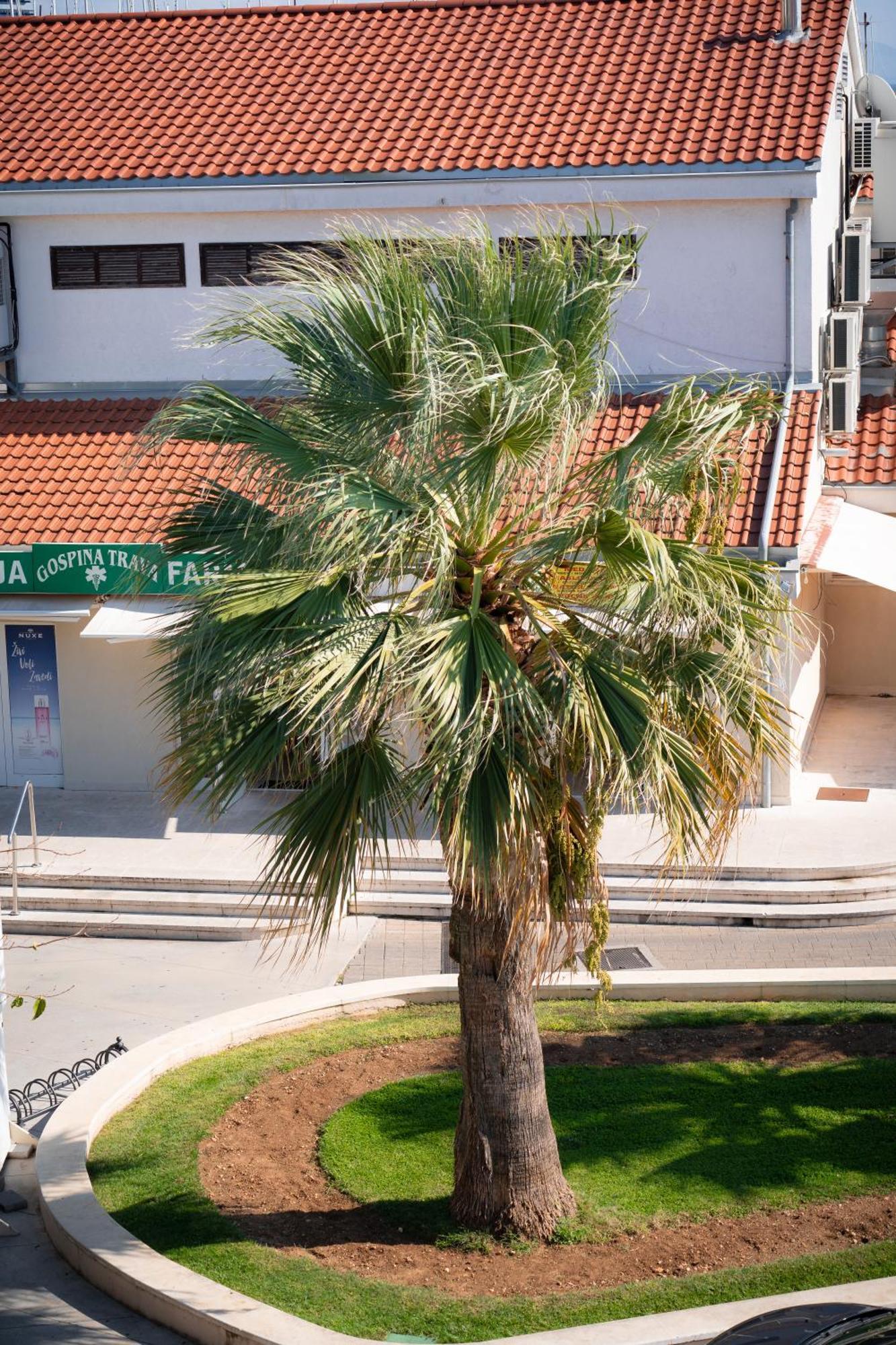 Apartments Centar Vodice Exteriör bild